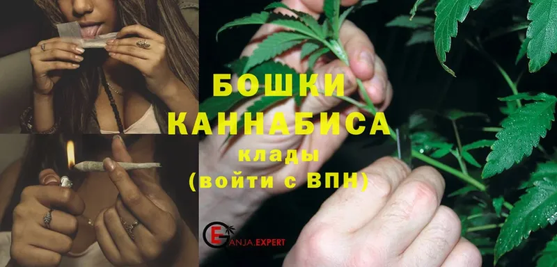 Бошки Шишки Amnesia  наркота  Купино 